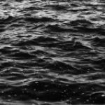 Illustration du profil de Curateur