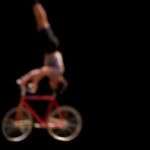 Illustration du profil de Yldor