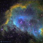 Illustration du profil de La Compagnie terrestre